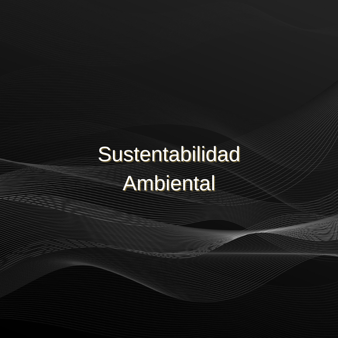 02.04 – Sustentabilidad Ambiental