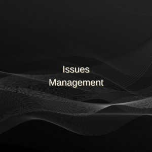 08 - Issues Management